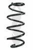 SPIDAN 86918 Coil Spring